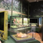 A photograph of the Archaeology Gallery in Brighton Museum