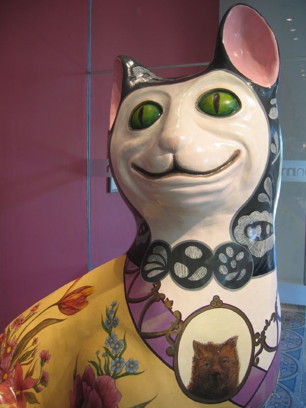 Photo of Brummell the Cat in Brighton Museum & Art Gallery lobby