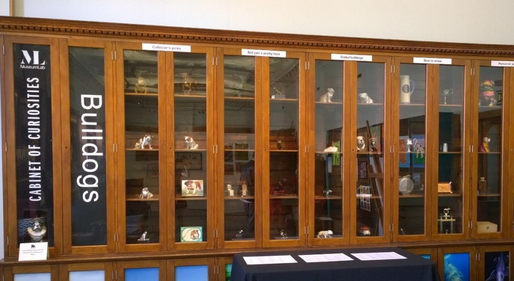 Bulldog display in Museum Lab, 2017