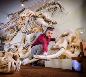 Curator Lee Ismail in the bone gallery Photo by Jim Holden