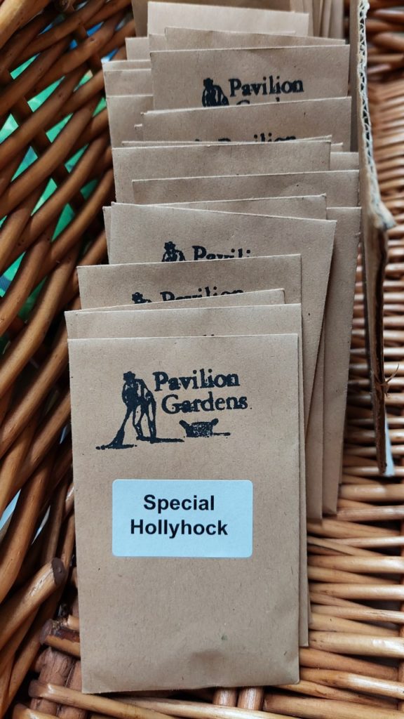 Seeds and Christmas Greenery Sale in the Garden, Friday 17th Brighton