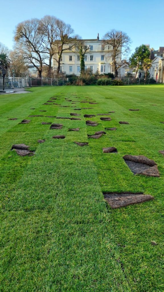 Lawn with pieces of turf being laid.