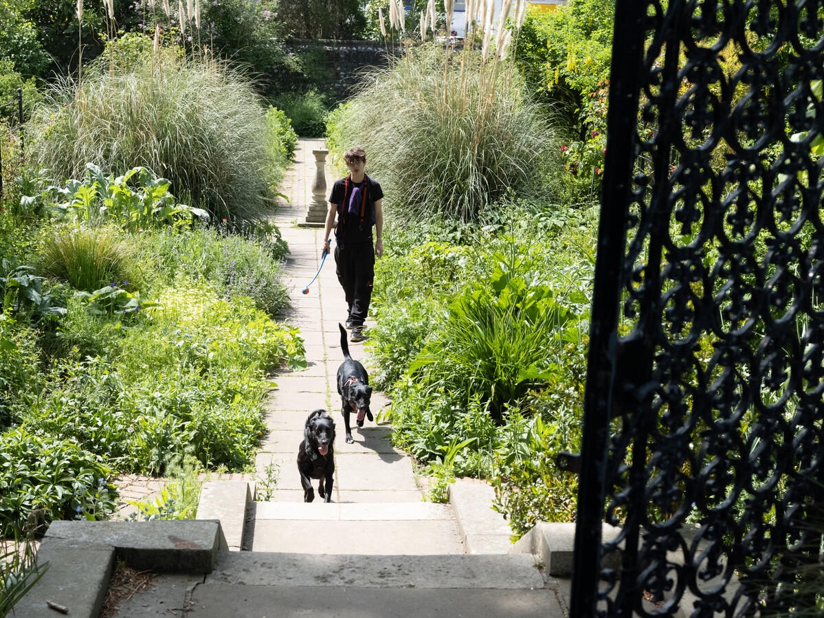 View of person and dogs in garden walking towards open gate.