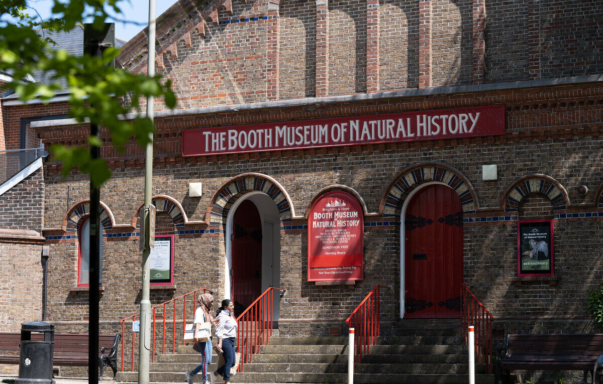 View of exterior of Booth Museum of Natural History.
