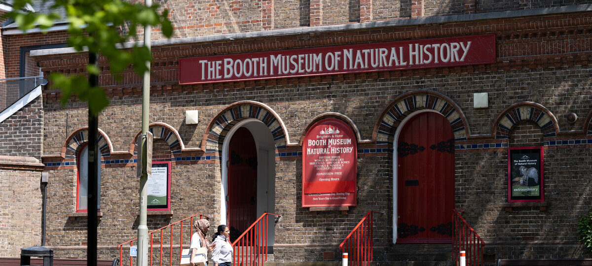 View of exterior of Booth Museum of Natural History.