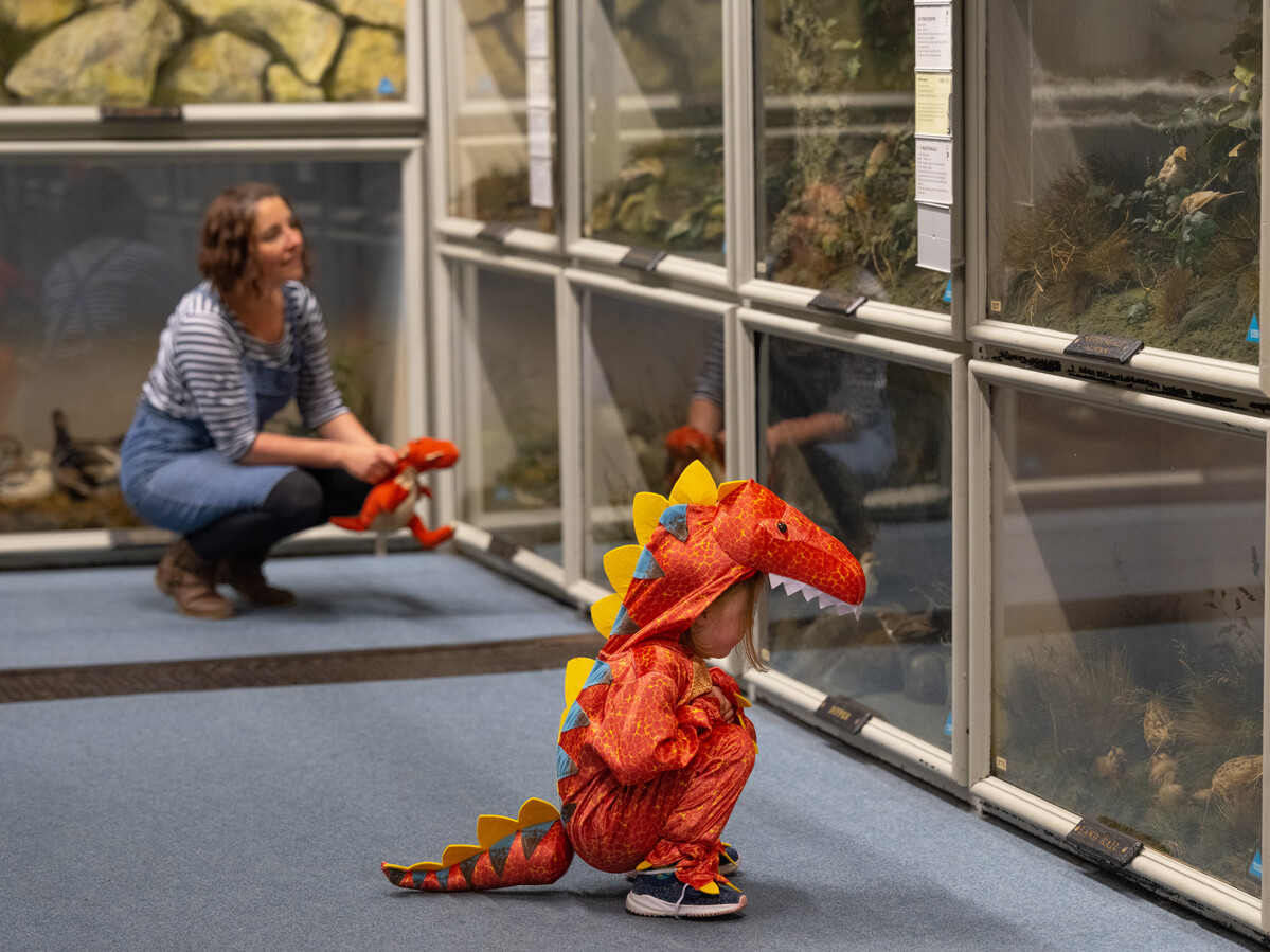 Child dressed in dinosaur costume looking at display of bird.