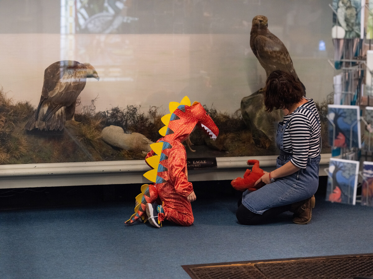Child dressed as a dinosaur looking with parents at a case of birds.