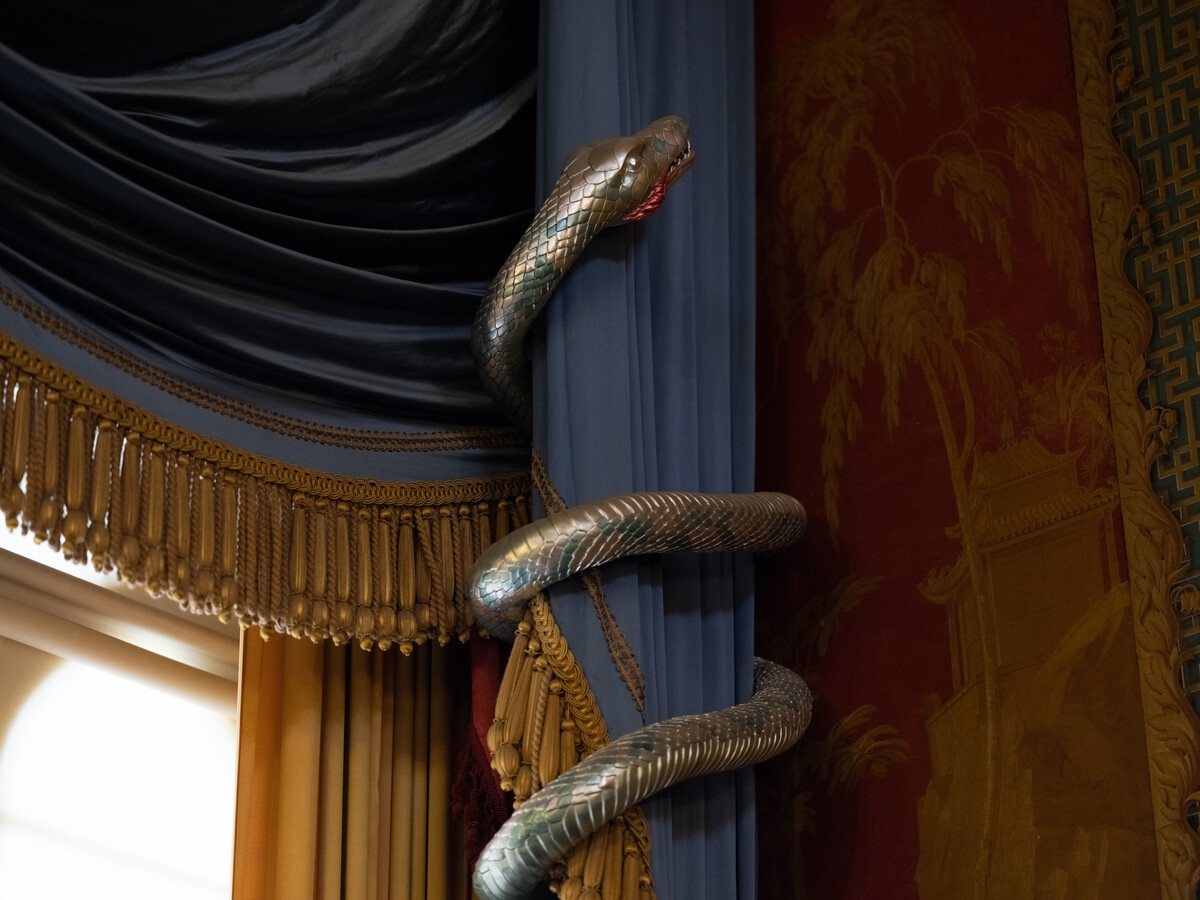 Snake coiled around a post.