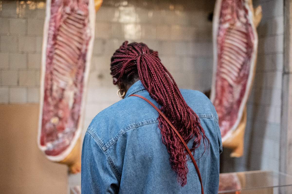 Person looking at fake slabs of meat hanging in kitchen.