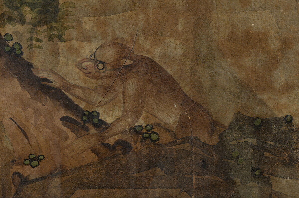 Detail of wallpaper showing a monkey in a tree. Hand drawn spectacles sit on his face.