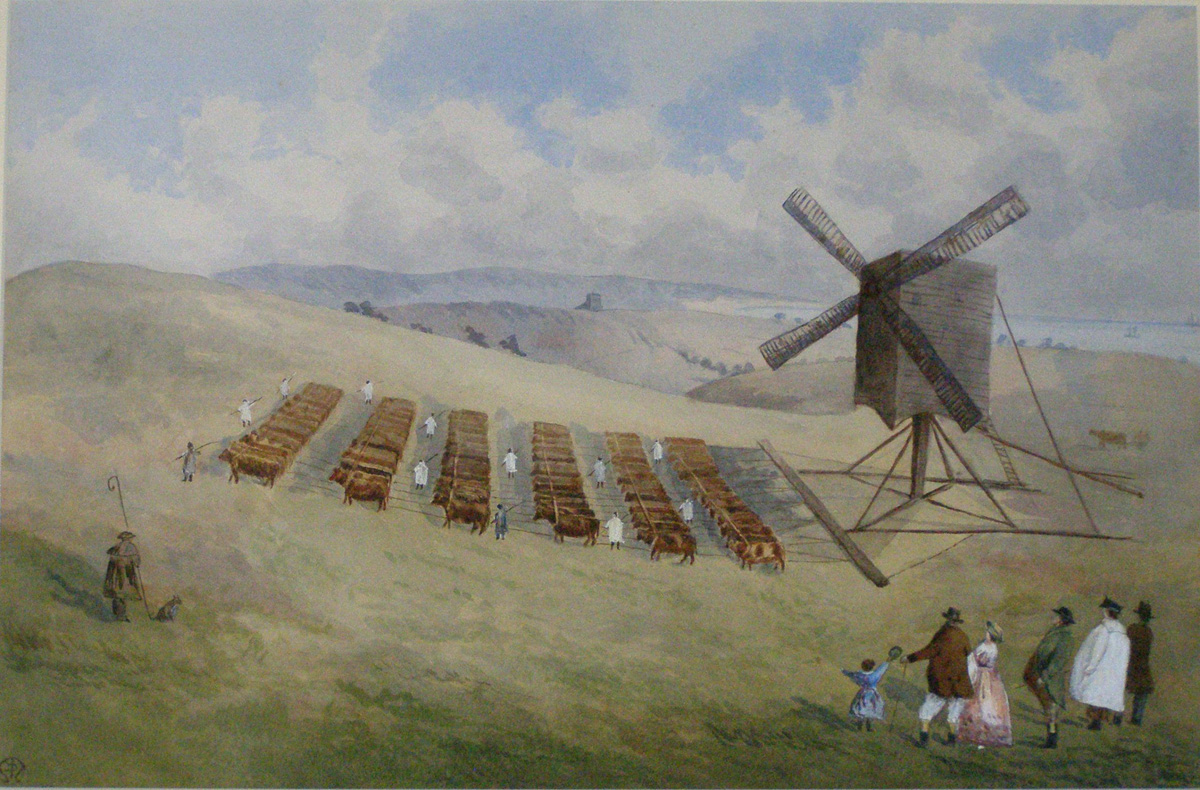 Picture showing oxen moving a mill