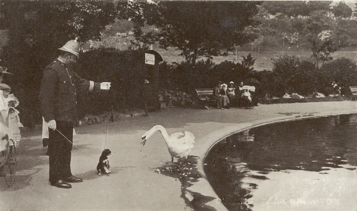 Black & white postcard showing a policeman and dog confronting a swan in Queen's Park.