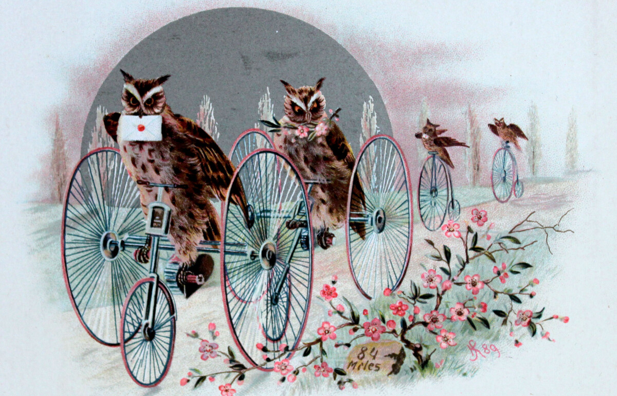 Detail of Christmas card showing cycling owls delivering letters