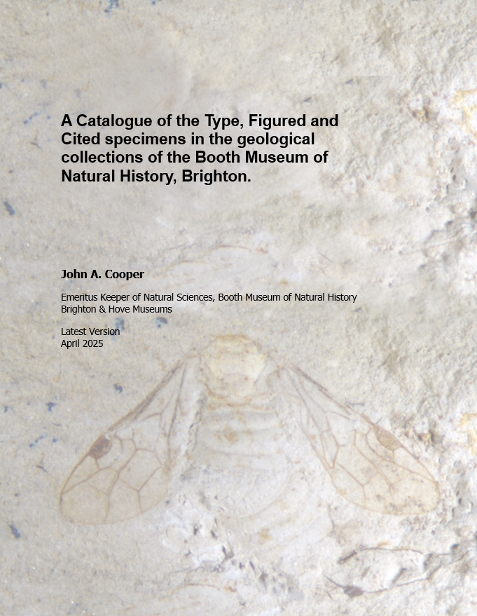 A Catalogue of the Type, Figured and Cited specimens in the geological collections of the Booth Museum of Natural History, Brighton.