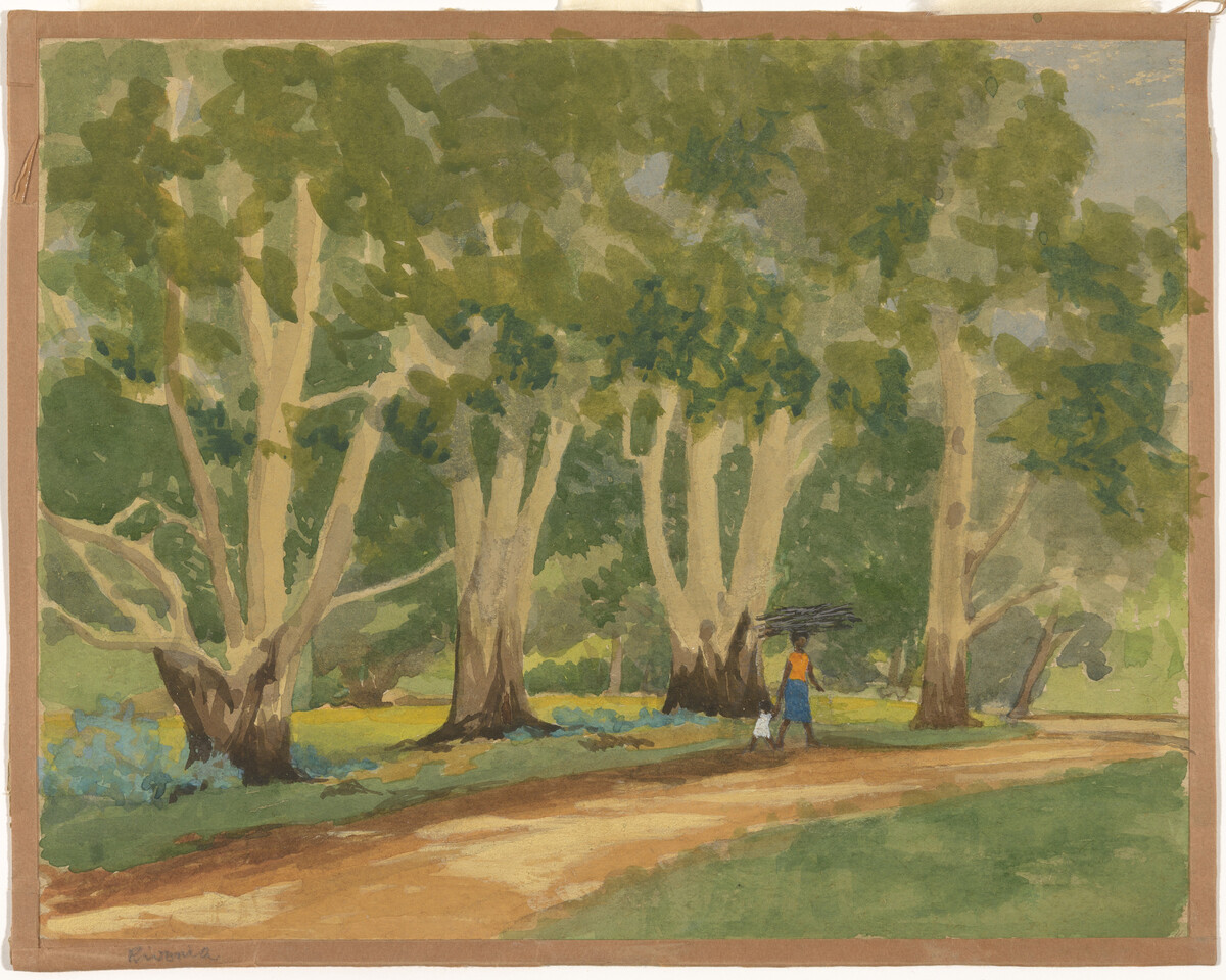 Watercolour showing large trees.