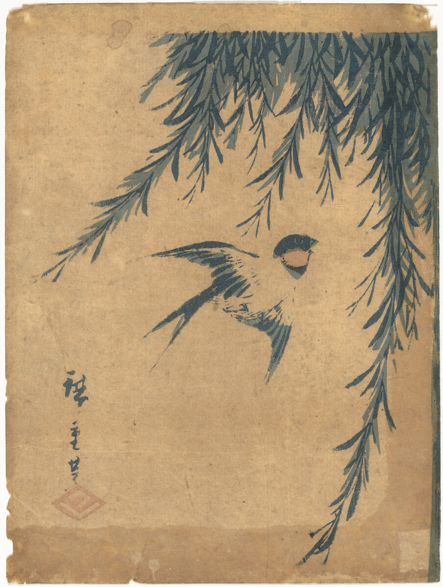 Print of a flying swallow by a willow.