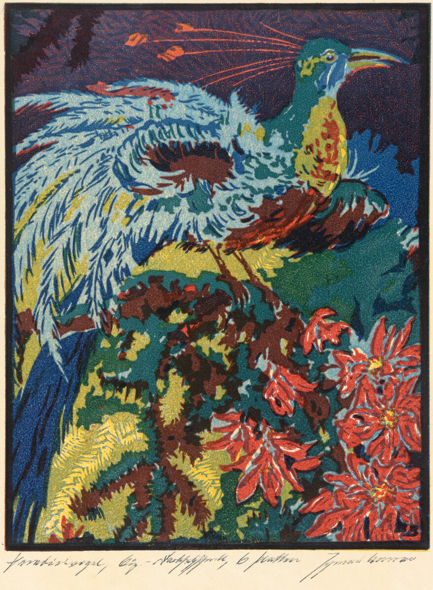Colourful print of a bird.