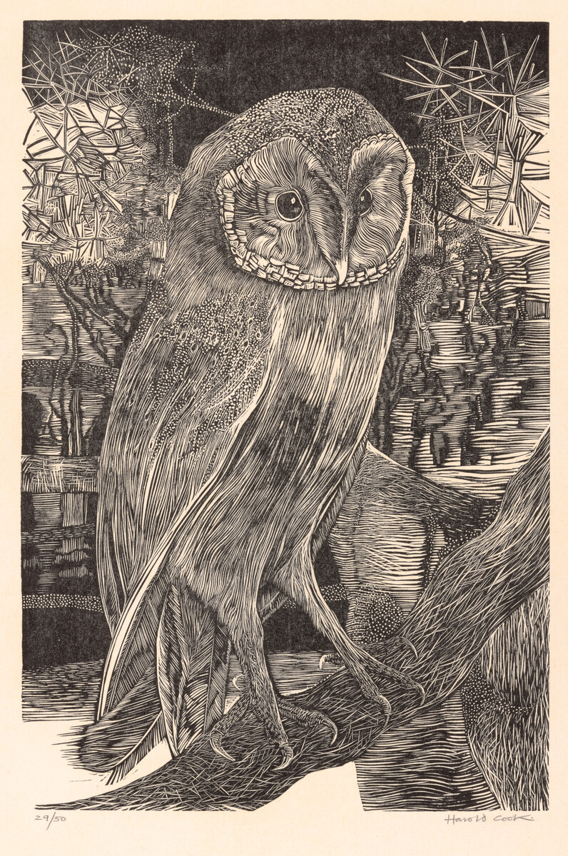 Print of a barn owl.