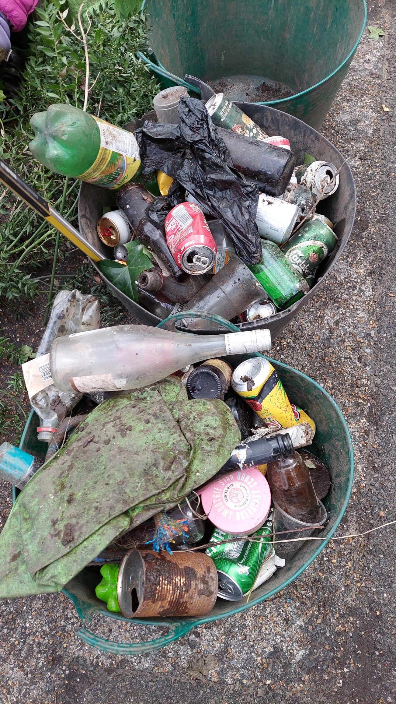 Two trugs of litter removed from the Pavilion Garden