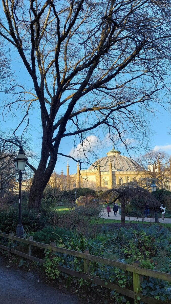 The Royal Pavilion Garden and Elm ‘260’ with a view towards the Dome