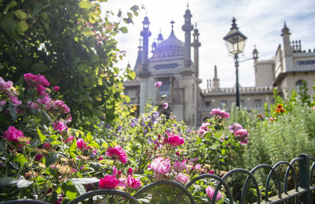 An image of the Garden of the Royal Pavilion, focusing on pink flowers and a lamppost. The Royal Pavilion exterior is in the background.