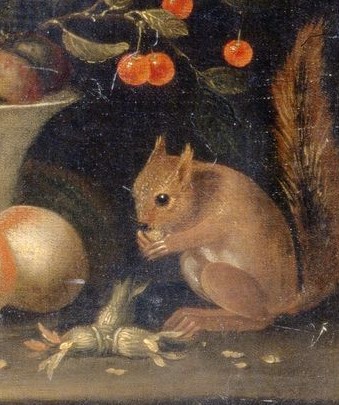Painting of a squirrel eating nuts, with fruit in the background