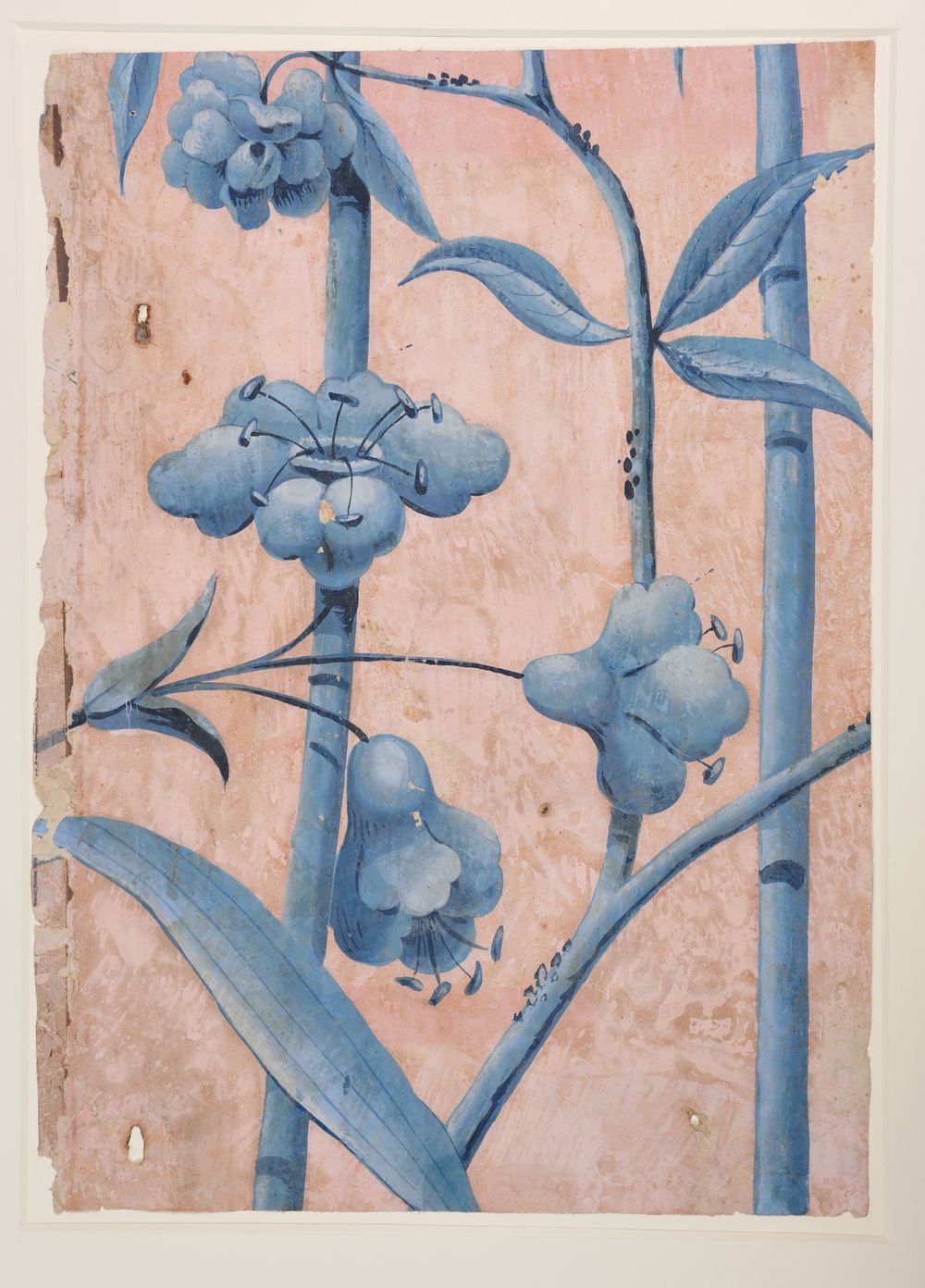 Wallpaper with blue flowers