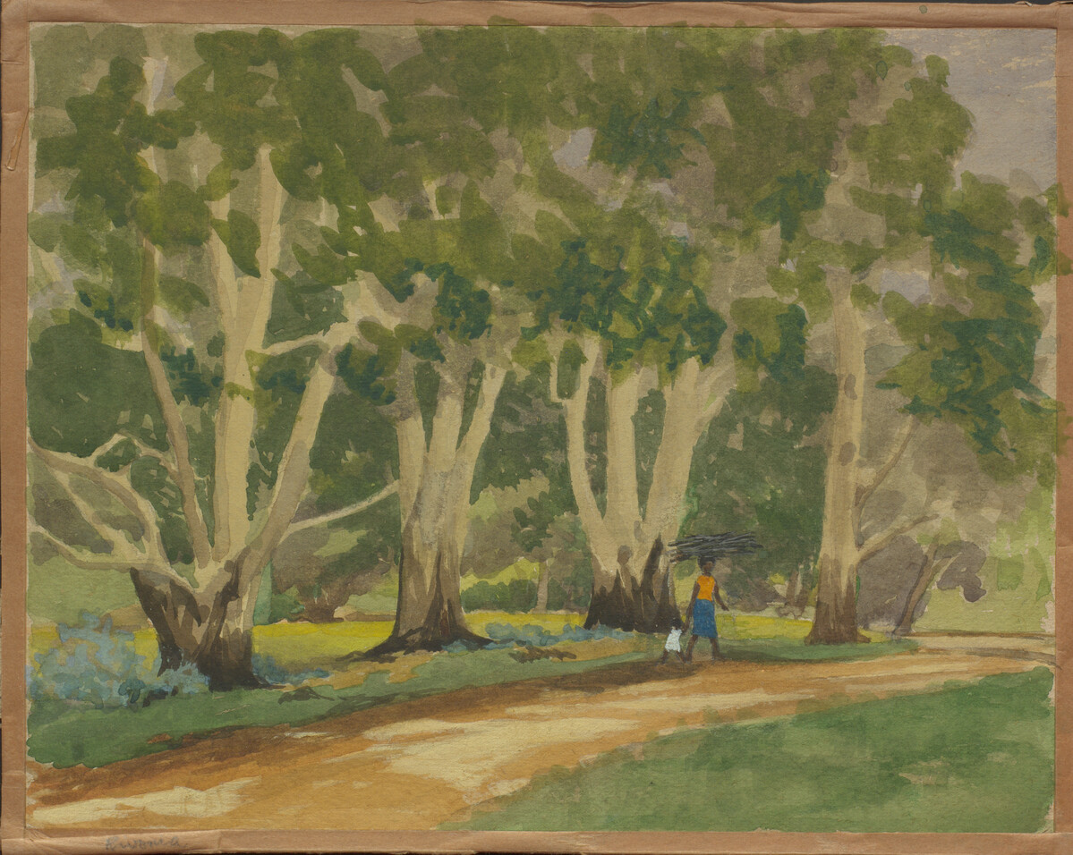 Blue gum tree, Rivonia, South Africa, by E. Bennett, January 1958, fa103789. This 1958 watercolour painting by E. Bennett shows a woman and child walking along a woodland path of blue gum trees in Rivonia, a suburb of Johannesburg.