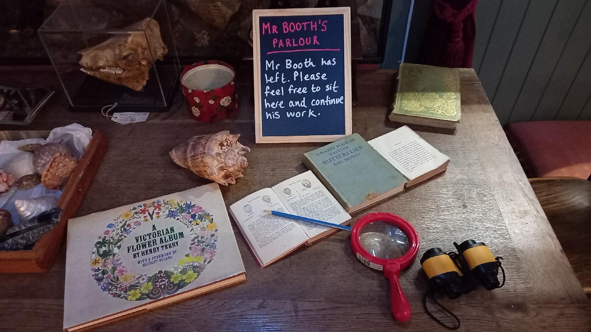 Mr Booths desk at the Booth Museum, it is full of shells and Victorian curiosities, books and a magnifying glass.