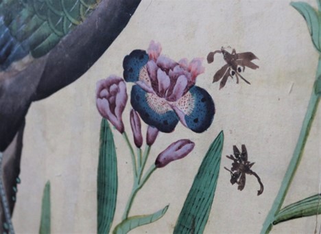 A possible lily or iris on the Chinese wallpaper in Queen Victoria’s bedroom