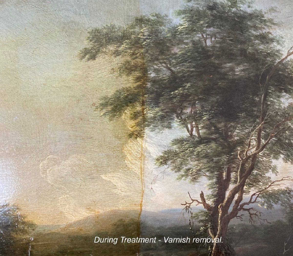 Landscape with figures of Tobias and the Angel c 1630. During treatment and varnish removal. A before and after cross section of the dark sky and tree on the left and the lighter treated tree on the right