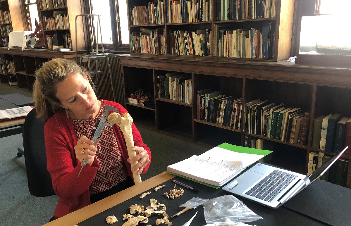 Dr Paola Ponce is measuring a femur bone of one of the individuals from the cemetery at Rookery Hill.