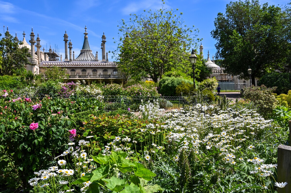 Royal Pavilion Gardens in bloom on a sunny day