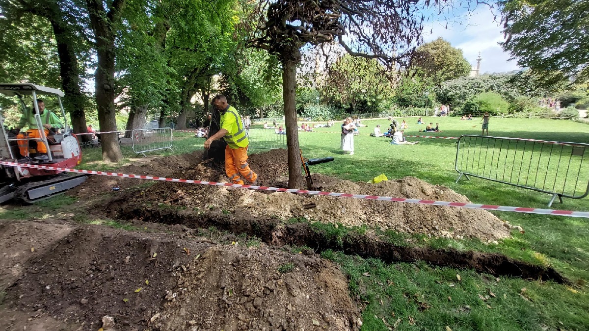 Digging the trench to remove the infected tree. The elm is cordoned off and workmen have begun to dig a trench around the tree.