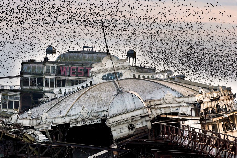 Only for the Birds The Guardian, February 2003 Starlings swirling round the collapsing concert hall of Brighton’s West Pier in 2003, when there were still hopes of saving it. Brighton & Hove City Council had granted planning permission for the pier to be renovated, funds were promised from the EU. Weeks later, arsonists set it alight. Print by Brighton Photography © Roger Bamber / TopFoto