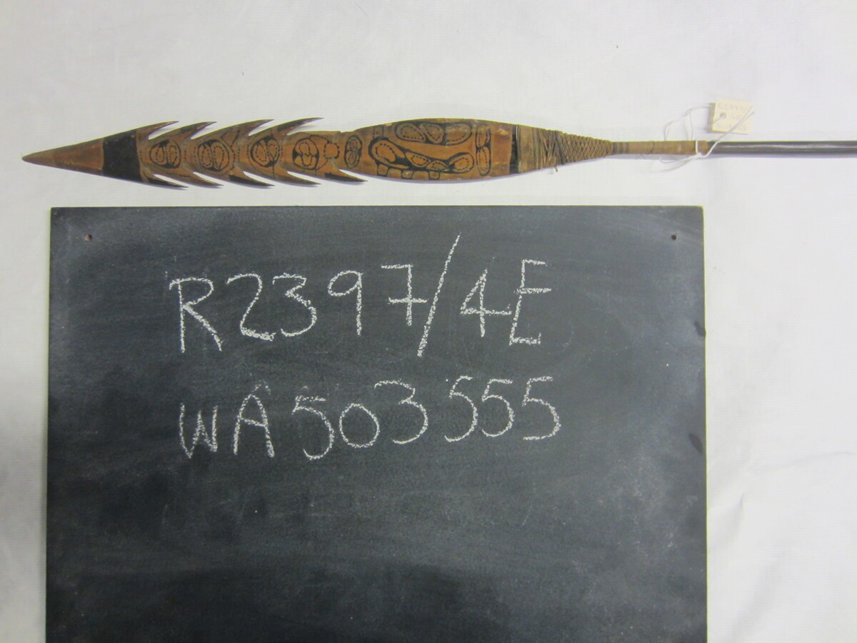 arrow from upper Amazon, Peru. Indigenous peoples’ defences were no match for European colonisers’ fire power.