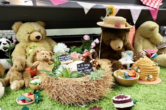 A Teddy Bear’s Picnic at the Booth Museum. A group of soft toy bears sit on artificial grass with toy cakes, honey, flowers and small black board signs with information on.