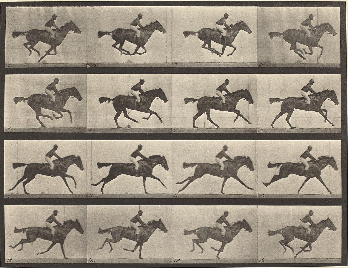 Eadweard Muybridge, Animal Locomotion, Plate 626, 1887 [https://commons.wikimedia.org/wiki/File:Eadweard_Muybridge,_Animal_Locomotion,_Plate_626,_1887,_NGA_136536.jpg] Four horizontal image strips show four frames of a man riding a horse.