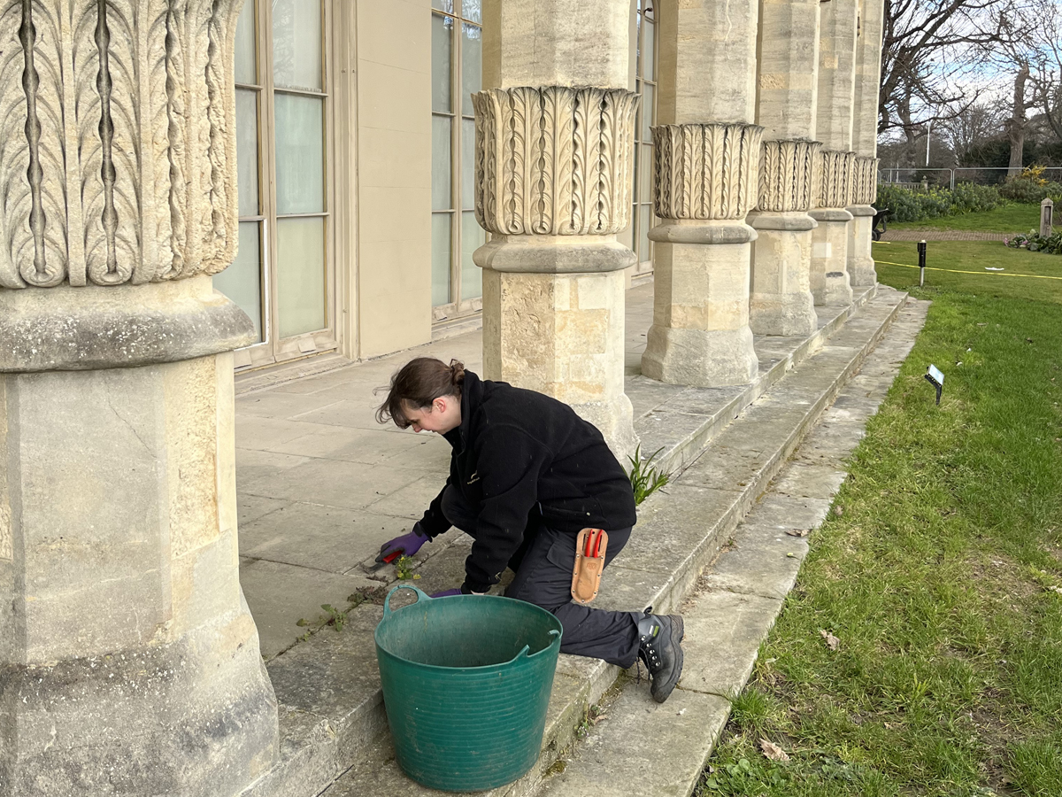 Rebecca, Garden Apprentice at the Royal Pavilion Garden removes weeds from the steps of the back of the Royal Pavilion