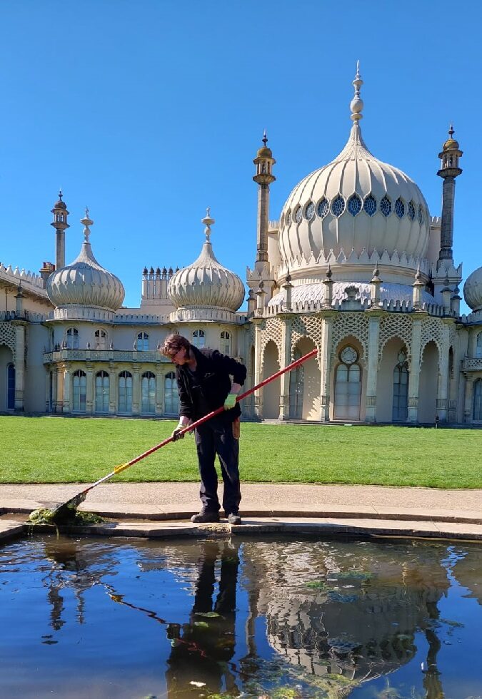 Rebecca, Garden Apprentice at the Royal Pavilion Garden uses a long handled net to remove debris from the pond in the Royal Pavilion Garden