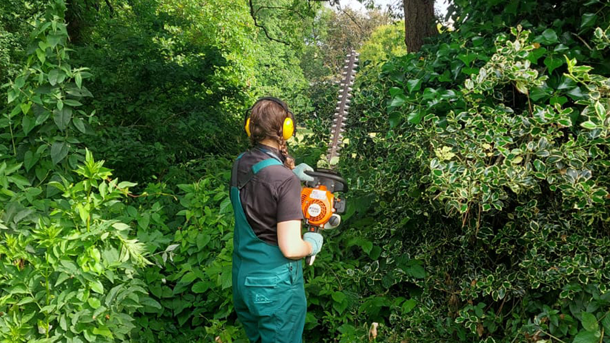 Rebecca, Garden Apprentice at the Royal Pavilion Garden stands facing the greenery with a chainsaw ready to start work