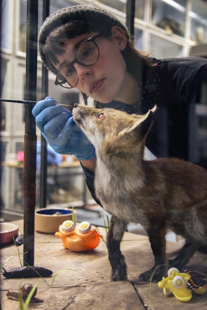 Taxidermist Jazmine Miles Long by Laurence Dean. Jazmine is working on a taxidermy fox. She wears gloves and holds a thin paintbrush to it's nose.