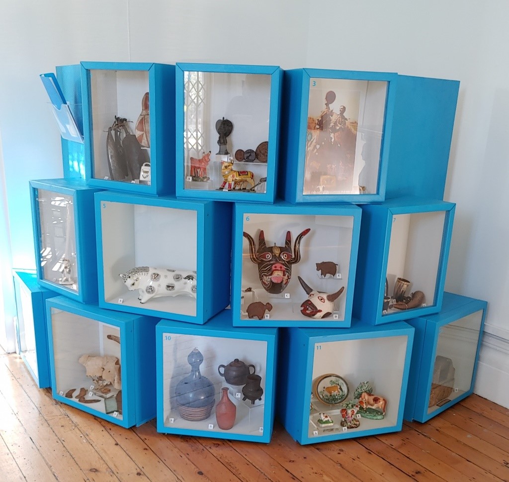 What's in the Box display at Hove. Many stacked bright blue glass fronted cases display cow related objects.