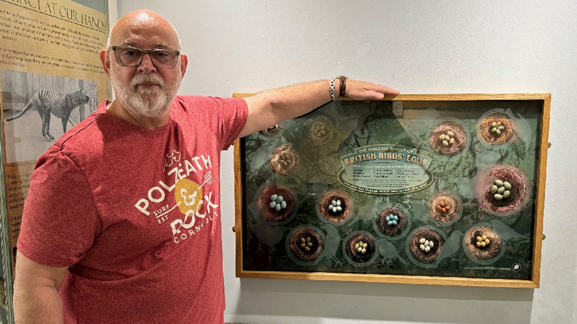 Tony Ladd stands in front of his egg display at the Booth Museum