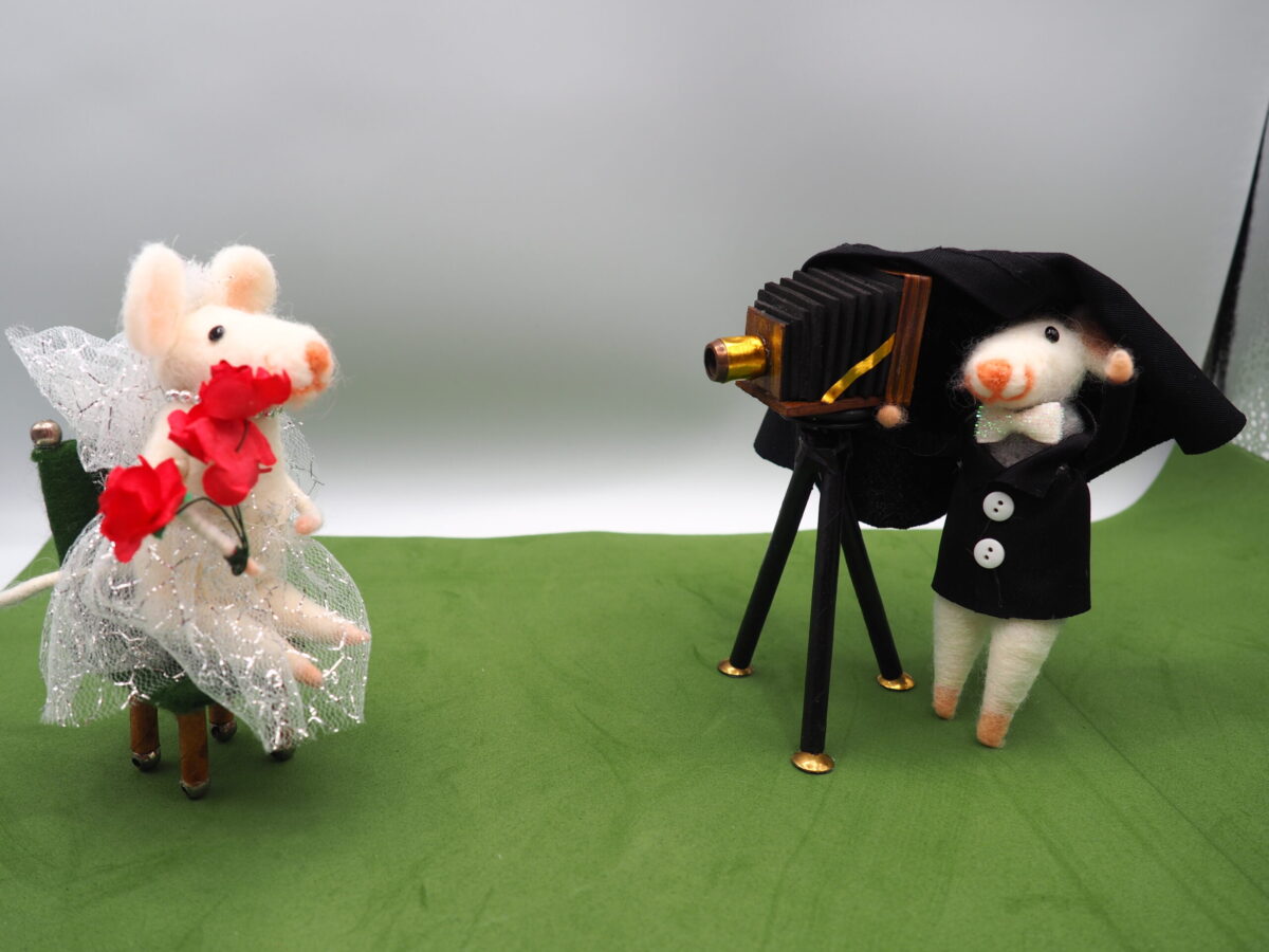 A mouse dressed in a white bride dress is being photographed by another mouse with an old-school camera.