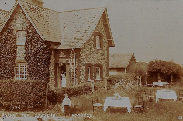 Postcard depicting Adams' Tea Gardens, Poynings