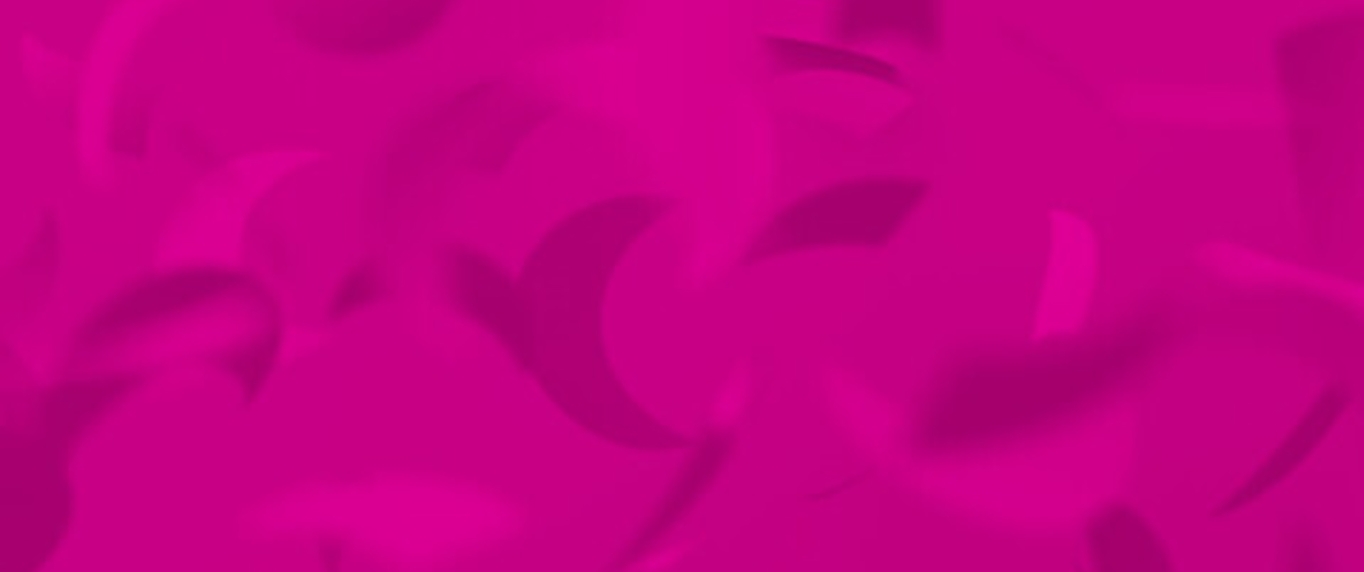 Pink Hove & logo shells