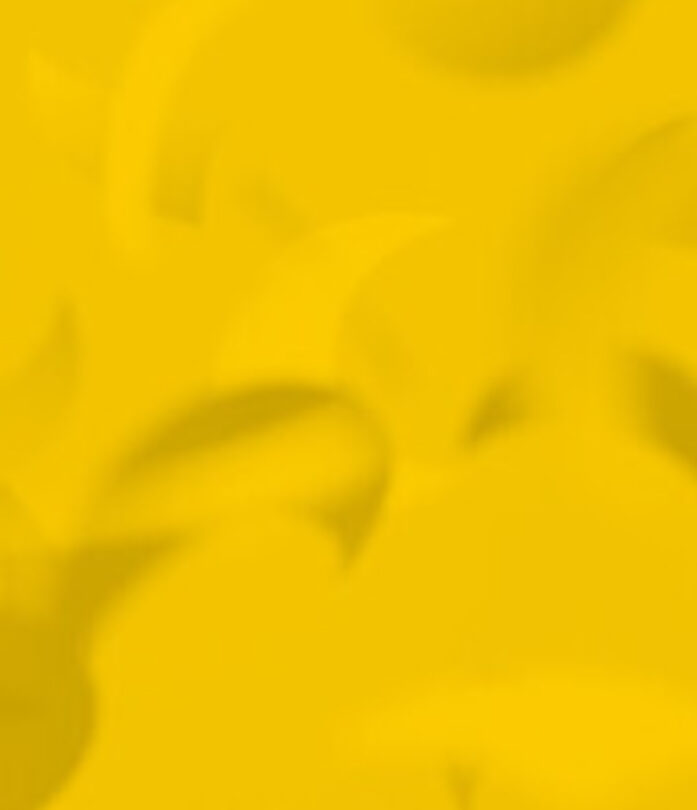 Yellow Royal Pavilion & logo shells