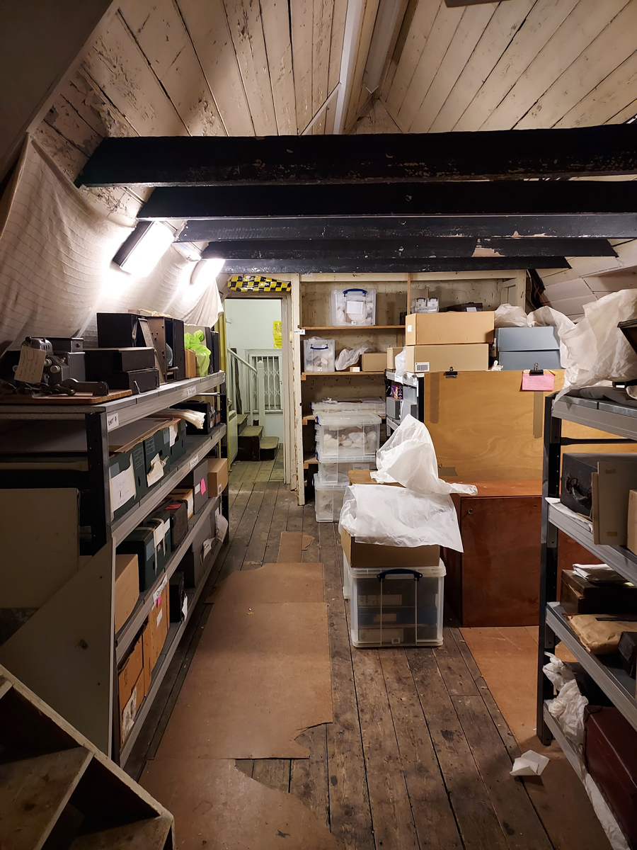 Hove Museum attic