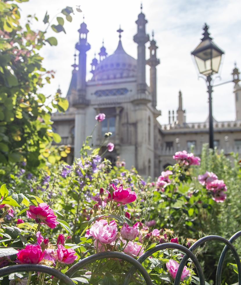 Royal Pavilion Garden in bloom